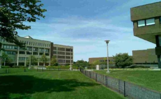 纽约州立大学石溪分校