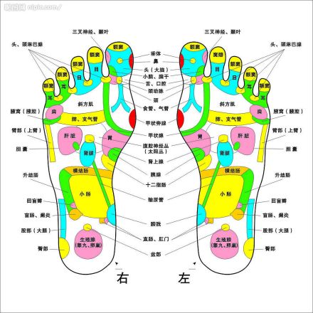 足底穴位