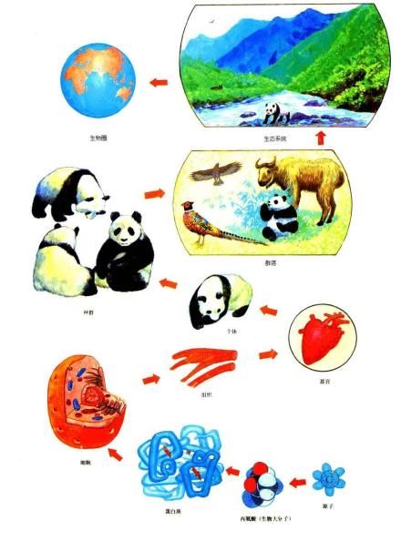 生物学