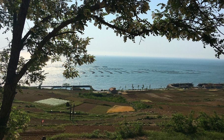 灵山岛耕地