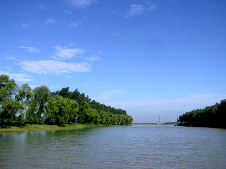 南洞庭湖湿地和水禽自然保护区