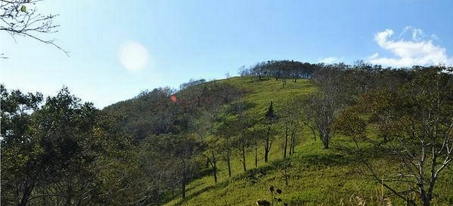 平顶山