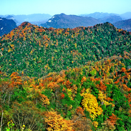 南江县