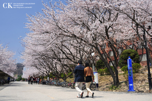 KAIST