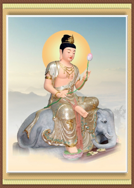 清水白象