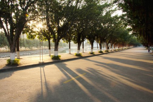 逸仙大道