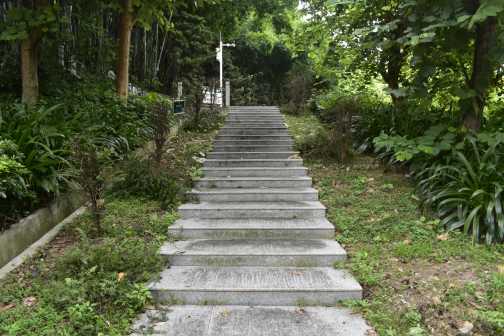 中山大学（东校区）