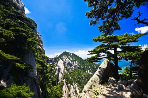 黄山景观