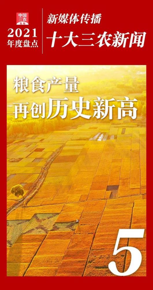 2021年度新媒体传播十大三农新闻
