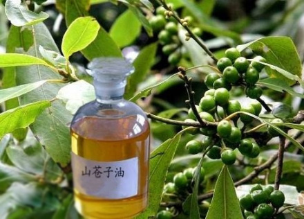 永州山苍子油