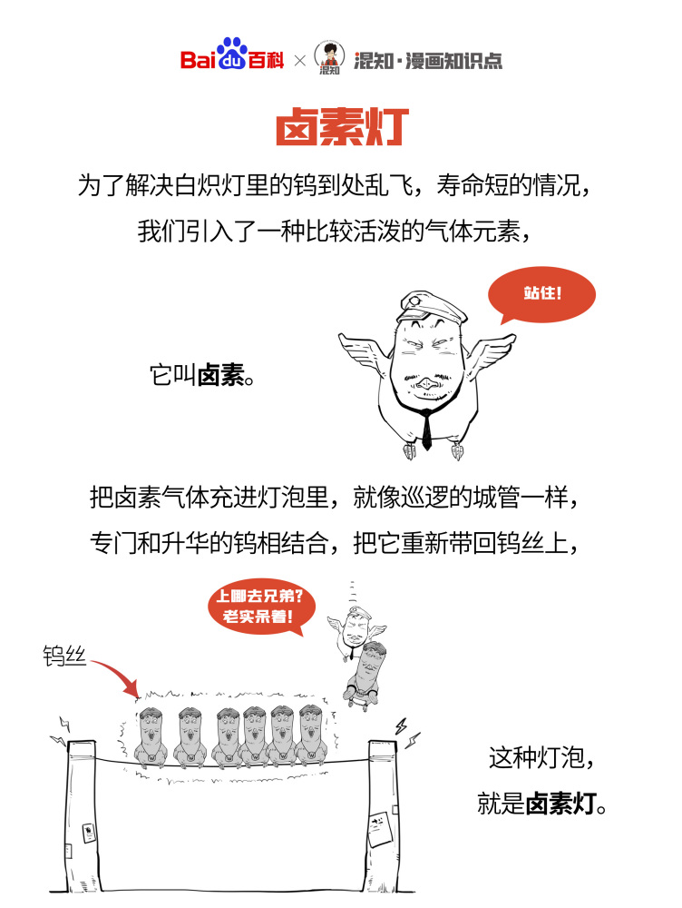 百科x混知：图解卤素灯