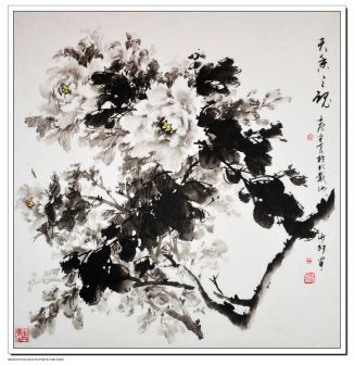 PeonySea 牡丹海 王少非 作品
