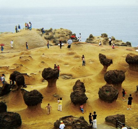野柳奇特的海蚀地貌