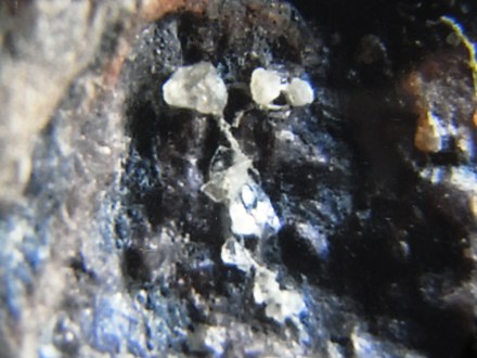 研究历史