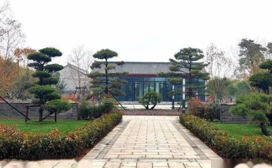 曹州古城风光