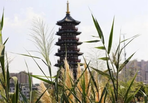 曹州古城风光