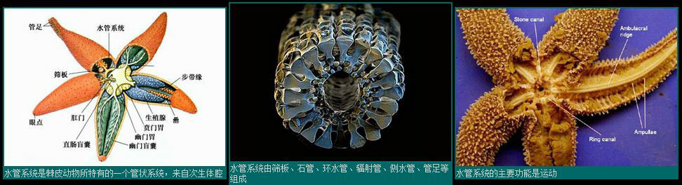 水管系统
