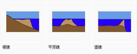 珊瑚礁的形态