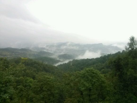 铁山森林公园