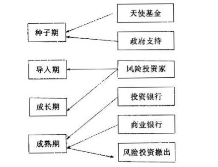 风险企业