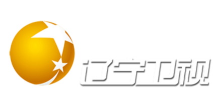辽宁卫视