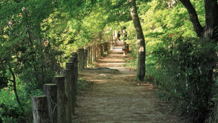 六甲山