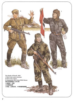 库尔茨克的战斗,1943年