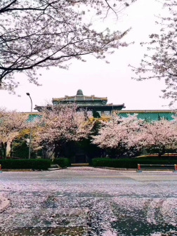 校园环境