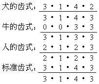 齿式