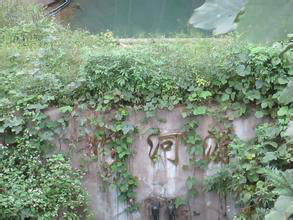 修河