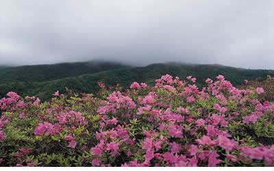 荥经县