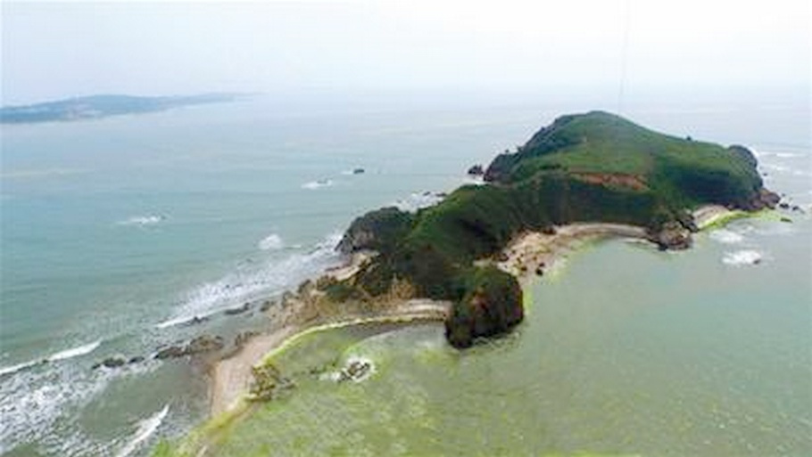 驴岛