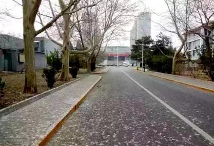 天使路
