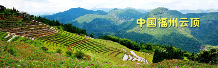 中国云顶