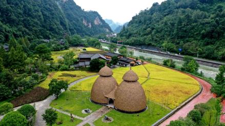草树厕所