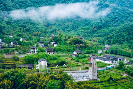 禅茶清谷景区
