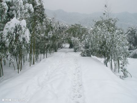 雪灾