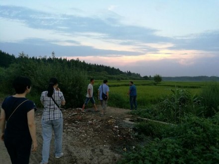 小山子镇田地景色