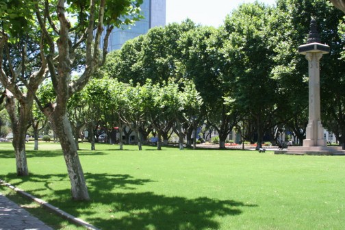 同济大学校园风景图十二