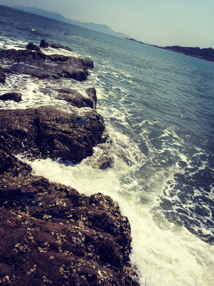 里海海岸