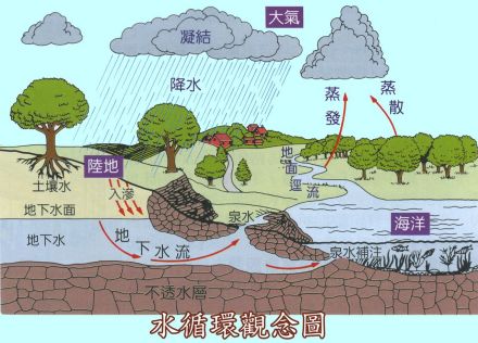 水循环