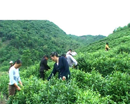 农业