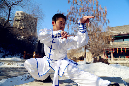 梅花螳螂拳