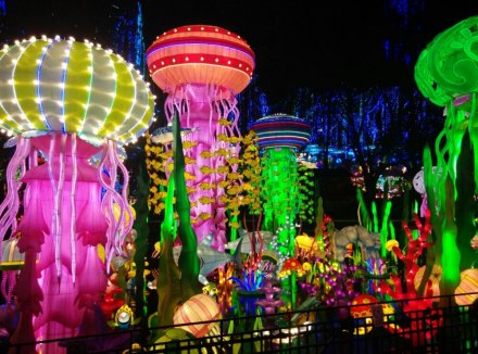 彩灯公园