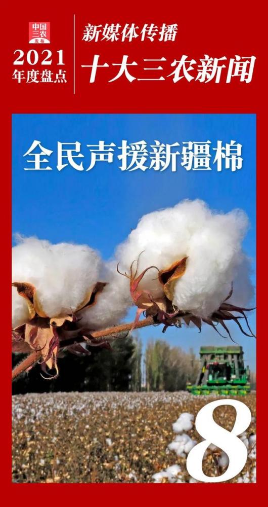 2021年度新媒体传播十大三农新闻