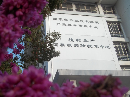 科研平台
