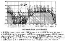 中国青藏高原蒿草苔草沼泽剖面图 
