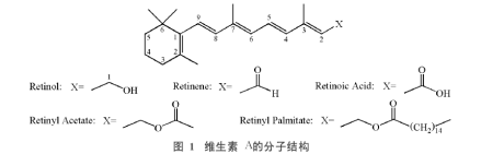 维生素A的分子结构
