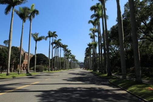 台湾大学