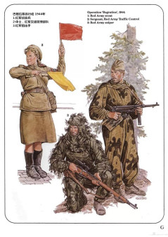 巴格拉基昂行动,1944年